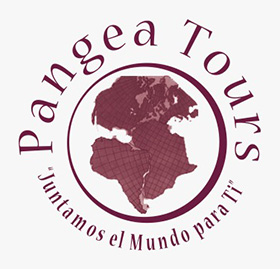 dark logo
